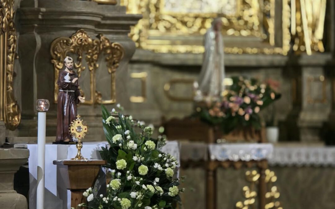 Niedziela ze św. Franciszkiem z Asyżu
